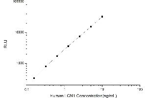Typical standard curve (Lipocalin 1 CLIA Kit)