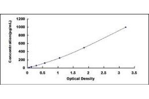 Typical standard curve (LAMA3 ELISA Kit)