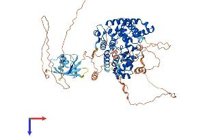 TBC1D25 Protein (AA 1-742) (His tag)