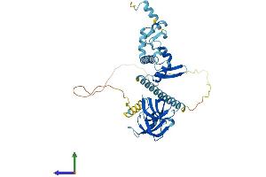 AlphaFold protein structure predicition of Mouse Recombinant Kin Protein, UniprotID Q8K339
