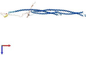 TEKT5 Protein (AA 1-485) (His tag)