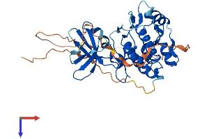 TRIB1 Protein (AA 1-372) (His tag)