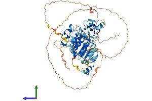 Protein Structure (PS) image for F-Box and Leucine-Rich Repeat Protein 19 (FBXL19) (AA 1-674) protein (His tag) (ABIN7558034)