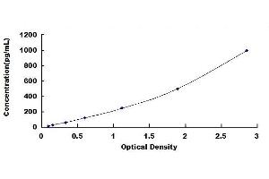 Typical standard curve (FUCA2 ELISA Kit)