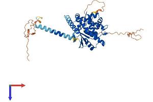 C6orf168 Protein (AA 1-409) (His tag)