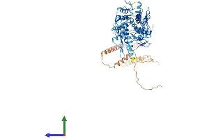 AlphaFold protein structure predicition of Human Recombinant ZNF420 Protein, UniprotID Q8TAQ5