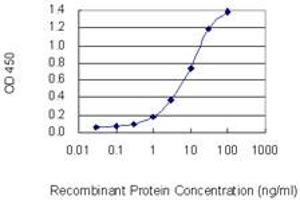 Detection limit for recombinant GST tagged EDEM2 is 0. (EDEM2 Antikörper  (AA 479-578))