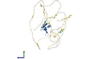 Protein Structure (PS) image for Forkhead Box O6 (Foxo6) (AA 1-492) protein (His tag) (ABIN7547686)