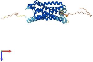 CCR5 Protein (AA 1-352) (His tag)