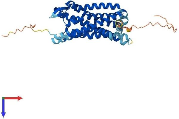CCR5 Protein (AA 1-352) (His tag)