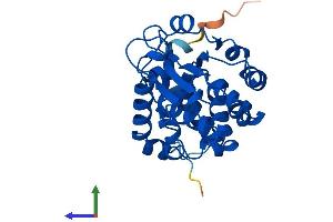 Protein Structure (PS) image for Tocopherol (Alpha) Transfer Protein (TTPA) (AA 1-278) protein (His tag) (ABIN7544836)