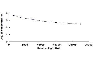 Typical standard curve