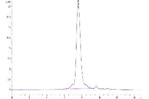 The purity of Cynomolgus TROP-2 is greater than 95 % as determined by SEC-HPLC. (TACSTD2 Protein (His tag))