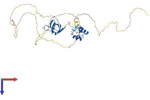 SAMSN1 Protein (AA 1-372) (His tag)