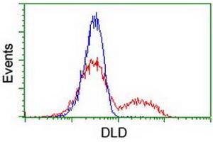 HEK293T cells transfected with either RC200639 overexpress plasmid (Red) or empty vector control plasmid (Blue) were immunostained by anti-DLD antibody (ABIN2454924), and then analyzed by flow cytometry. (DLD Antikörper)