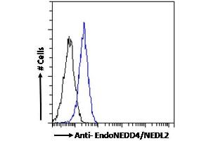 ABIN185281 Flow cytometric analysis of paraformaldehyde fixed A549 cells (blue line), permeabilized with 0. (HECW2 Antikörper  (N-Term))