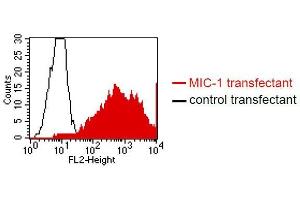 FACS analysis of BOSC23 cells using ME-6D10. (GDF15 Antikörper  (N-Term))