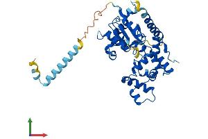 AlphaFold protein structure predicition of Human Recombinant CHST11 Protein, UniprotID Q9NPF2