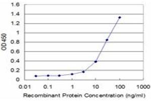 Detection limit for recombinant GST tagged ACE is approximately 1ng/ml as a capture antibody. (Angiotensin I Converting Enzyme 1 Antikörper  (AA 592-701))