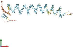 Protein Structure (PS) image for ZFP91 Zinc Finger Protein (ZFP91) (AA 1-1191) protein (His tag) (ABIN7556123)