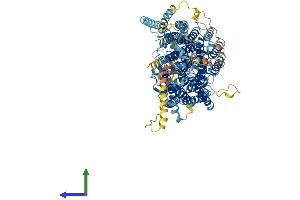 Protein Structure (PS) image for Phosphatidylinositol Glycan Anchor Biosynthesis, Class O (PIGO) (AA 1-1089) protein (His tag) (ABIN7554966)