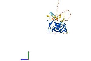 Protein Structure (PS) image for Nuclear Receptor Interacting Protein 3 (NRIP3) (AA 1-240) protein (His tag) (ABIN7561602)