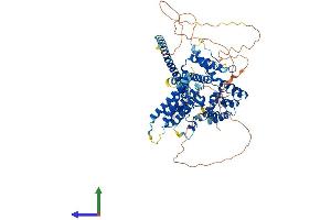Protein Structure (PS) image for GIT1 (GIT1) (AA 1-761) protein (His tag) (ABIN7554020)