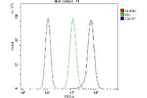 Flow Cytometry analysis of THP-1 cells using anti-CXCR2 antibody (ABIN7601315). (CXCR2 Antikörper  (AA 32-54))