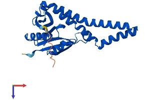 NAT8B Protein (AA 1-232) (His tag)