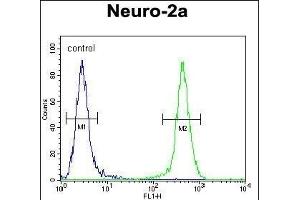 JOSD2 Antibody (N-term) (ABIN654556 and ABIN2844263) flow cytometric analysis of Neuro-2a cells (right histogram) compared to a negative control cell (left histogram).