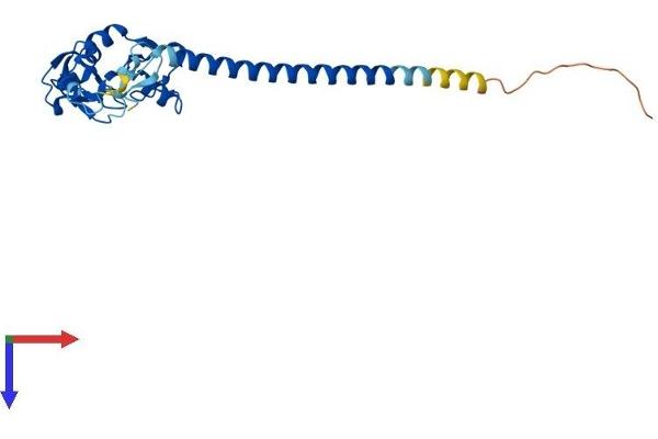 RNF151 Protein (AA 1-239) (His tag)