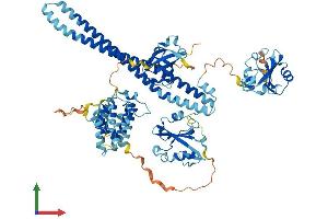 Protein Structure (PS) image for Phosphoinositide 3 Kinase, p85 beta (PI3K p85b) (AA 1-728) protein (His tag) (ABIN7554833)