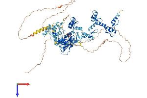 PRDM9 Protein (AA 1-843) (His tag)