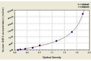 gGT2 ELISA Kit