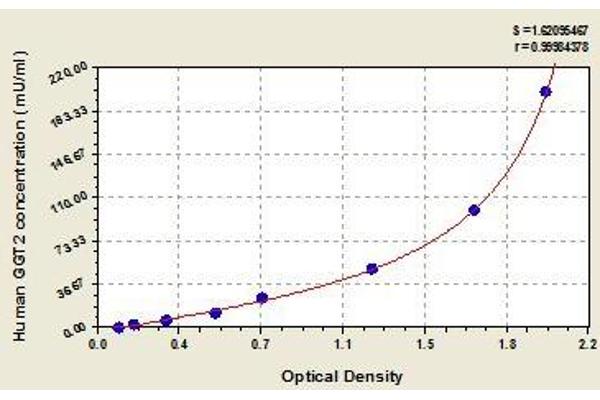 gGT2 ELISA Kit