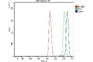 Flow Cytometry analysis of THP-1 cells using anti-EPLIN/LIMA1 antibody (ABIN7602639). (LIMA1 Antikörper  (AA 9-744))
