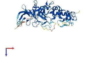 PELI2 Protein (AA 1-419) (His tag)