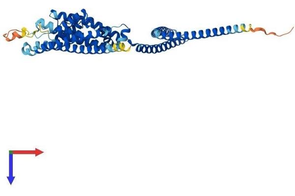 KCNN4 Protein (AA 1-425) (His tag)