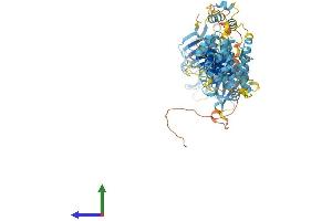 Protein Structure (PS) image for Hermansky-Pudlak Syndrome 6 (HPS6) (AA 1-805) protein (His tag) (ABIN7558750)