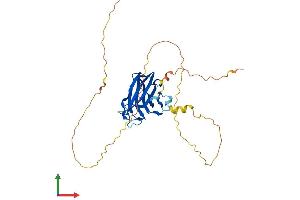 Protein Structure (PS) image for Regulating Synaptic Membrane Exocytosis 3 (RIMS3) (AA 1-307) protein (His tag) (ABIN7558326)