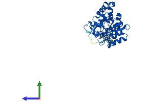 AlphaFold protein structure predicition of Mouse Recombinant Cd38 Protein, UniprotID P56528 (CD38 Protein (AA 1-304) (His tag))
