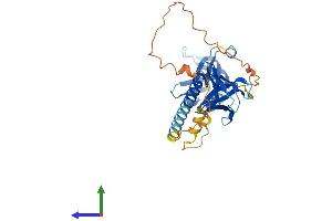 AlphaFold protein structure predicition of Mouse Recombinant Dok4 Protein, UniprotID Q99KE3