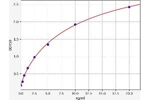 IGFBP4 ELISA Kit