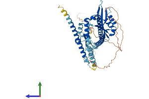 Protein Structure (PS) image for Nucleoporin 54kDa (NUP54) (AA 1-507) protein (His tag) (ABIN7549948)