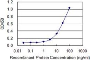 Detection limit for recombinant GST tagged NOS2 is 0. (NOS2 Antikörper  (AA 685-794))