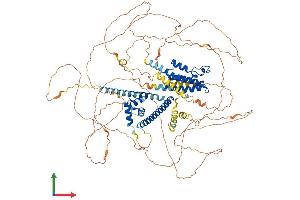 AlphaFold protein structure predicition of Mouse Recombinant Brd8 Protein, UniprotID Q8R3B7