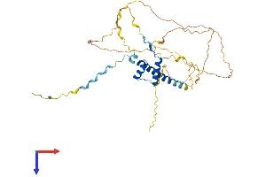 HMX3 Protein (AA 1-356) (His tag)