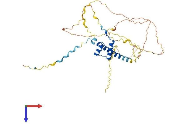 HMX3 Protein (AA 1-356) (His tag)