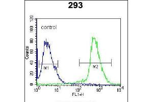 Flow cytometric analysis of 293 cells (right histogram) compared to a negative control cell (left histogram). (ARL2 Antikörper  (C-Term))