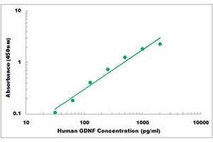 Glial Cell Line Derived Neurotrophic Factor (GDNF) ELISA Kit
